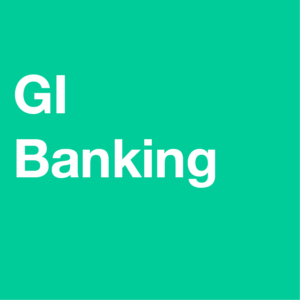 GI BLF - Business Loan Financing
